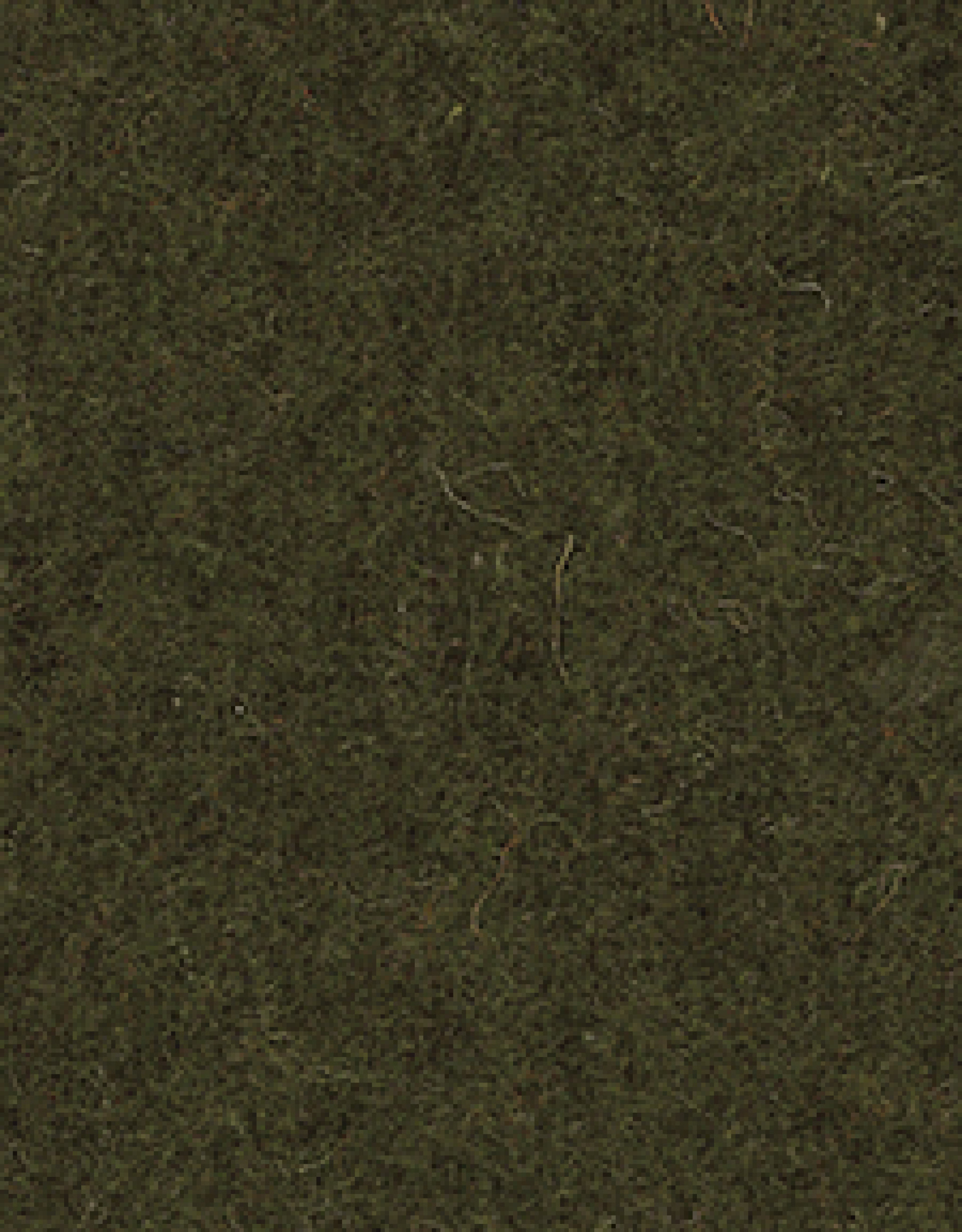 feltro_tf25_225x288.jpg feltro_tf25_225x288.jpg